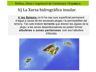 Relleu, clima i vegetació de Catalunya i Espanya.

b) La Xarxa hidrogràfica insular.
A les Balears no hi ha cap curs superficial permanent
d’aigua a causa de les escasses pluges i la permeabilitat del
terreny. Tan sols trobem torrents que drenen les aigües de la
pluja i a les seves desembocadures es poden formar
albuferes o zones pantanoses com ara l’albufera
d'Alcúdia

 