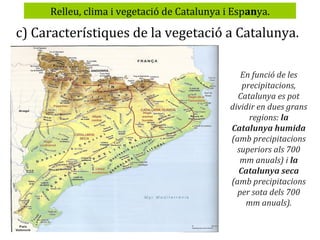 Relleu, clima i vegetació de Catalunya i Espanya.

c) Característiques de la vegetació a Catalunya.
En funció de les
precipitacions,
Catalunya es pot
dividir en dues grans
regions: la
Catalunya humida
(amb precipitacions
superiors als 700
mm anuals) i la
Catalunya seca
(amb precipitacions
per sota dels 700
mm anuals).

 