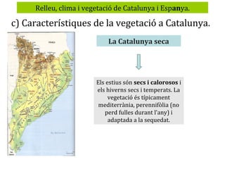 Relleu, clima i vegetació de Catalunya i Espanya.

c) Característiques de la vegetació a Catalunya.
La Catalunya seca

Els estius són secs i calorosos i
els hiverns secs i temperats. La
vegetació és típicament
mediterrània, perennifòlia (no
perd fulles durant l’any) i
adaptada a la sequedat.

 