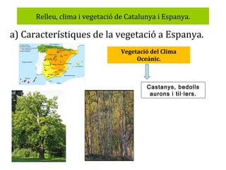 Relleu, clima i vegetació de Catalunya i Espanya.

a) Característiques de la vegetació a Espanya.
Vegetació del Clima
Oceànic.

Castanys, bedolls
aurons i til·lers.

 