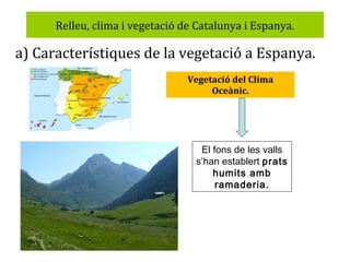 Relleu, clima i vegetació de Catalunya i Espanya.

a) Característiques de la vegetació a Espanya.
Vegetació del Clima
Oceànic.

El fons de les valls
s’han establert prats
humits amb
ramaderia.

 