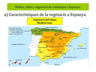Relleu, clima i vegetació de Catalunya i Espanya.

a) Característiques de la vegetació a Espanya.
Vegetació del Clima
Mediterrani.

 