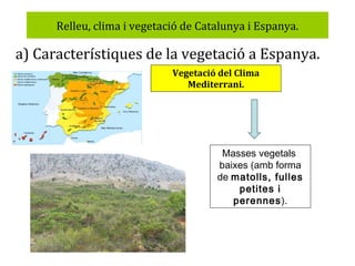 Relleu, clima i vegetació de Catalunya i Espanya.

a) Característiques de la vegetació a Espanya.
Vegetació del Clima
Mediterrani.

Masses vegetals
baixes (amb forma
de matolls, fulles
petites i
perennes).

 