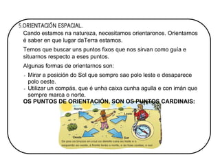 5.ORIENTACIÓN ESPACIAL.
Cando estamos na natureza, necesitamos orientaronos. Orientarnos
é saber en que lugar daTerra estamos.
Temos que buscar uns puntos fixos que nos sirvan como guía e
situarnos respecto a eses puntos.
Algunas formas de orientarnos son:
- Mirar a posición do Sol que sempre sae polo leste e desaparece
polo oeste.
- Utilizar un compás, que é unha caixa cunha agulla e con imán que
sempre marca o norte.
OS PUNTOS DE ORIENTACIÓN, SON OS PUNTOS CARDINAIS:
 