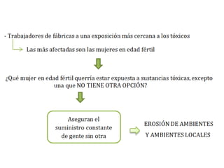 Esquema vídeo historia de las cosas