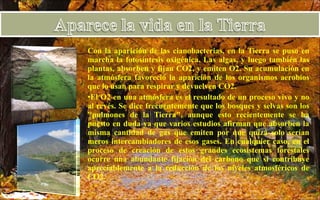 Con la aparición de las cianobacterias, en la Tierra se puso en marcha la fotosíntesis oxigénica. Las algas, y luego también las plantas, absorben y fijan CO2, y emiten O2. Su acumulación en la atmósfera favoreció la aparición de los organismos aerobios que lo usan para respirar y devuelven CO2.  El O2 en una atmósfera es el resultado de un proceso vivo y no al revés. Se dice frecuentemente que los bosques y selvas son los "pulmones de la Tierra", aunque esto recientemente se ha puesto en duda ya que varios estudios afirman que absorben la misma cantidad de gas que emiten por que quizá solo serían meros intercambiadores de esos gases. En cualquier caso, en el proceso de creación de estos grandes ecosistemas forestales ocurre una abundante fijación del carbono que sí contribuye apreciablemente a la reducción de los niveles atmosféricos de CO2. 