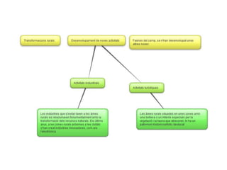 Esquemes ciencies socials
