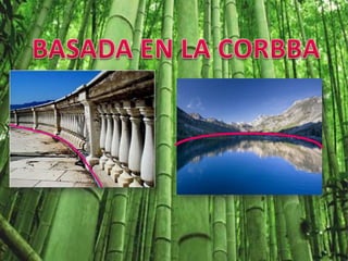 BASADA EN LA CORBBA