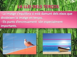 LA LLEI DELS TERÇOS La imatge s’equilibra si està damunt dels eixos que divideixen la imatge en terços.- Els punts d’encreuament  són especialment importants.