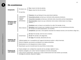 10

                                    5                           Els ecosistemes
                                                                                                      Flora: conjunt de totes les plantes.
                                                                                  Els éssers vius
                                                                Components                            Fauna: conjunt de tots els animals.
                                                                                  El medi físic.

                                                                                                      Productors: els que fabriquen el seu propi aliment (plantes).
                                                                                  L’alimentació       Consumidors primaris: animals que s’alimenten dels productors (herbívors).
                                                                                  (cadenes
                                                                                  i xarxes            Consumidors secundaris: animals que s’alimenten dels consumidors primaris (depredadors).
                                                                                  alimentàries)       Descomponedors: éssers vius que s’alimenten de les restes d’altres éssers vius (fongs,
                                                                Relacions entre
                                                                els éssers vius                       bacteris…).
                                                                i el medi
                                                                                                      Parasitisme: quan un ésser viu es beneficia d’un altre. Per exemple, el visc.

                                                                                  Altres relacions    Mutualisme: quan la relació que s’estableix entre dos éssers vius és beneficiosa per als dos.
                                                                                                      Per exemple, els ocells desparasitaris i els mamífers.
                                                                                                      Competència: quan dues o més espècies necessiten els mateixos recursos, com ara aliment, refugi, llum…

                                                                                                      De l’aire. Per exemple, amb fums de la indústria.
   © 2009 Edicions Voramar, S. A./Santillana Educación, S. L.




                                                                                  Contaminació        Del sòl. Per exemple, amb plaguicides.
                                                                                                      De l’aigua. Per exemple, abocaments als rius.
                                                                Problemes del
                                                                medi ambient      Calfament global com a conseqüència de l’augment del diòxid de carboni      efecte hivernacle.
                                                                                  Extinció d’espècies, que provoca una alteració en la cadena alimentària.
                                                                                  Desforestació, és a dir, desaparició de milions d’arbres.
                                                                                  Desertització, que és la transformació de zones fèrtils en zones àrides.

                                                                                  Espais protegits: per a protegir llocs especials pel seu paisatge, vegetació, fauna…
                                                                Protecció del     Espècies protegides: per a evitar l’extinció d’espècies d’animals amenaçades.
                                                                medi ambient
                                                                                  Lluita contra la contaminació: mesures per a evitar el deteriorament del medi ambient, per exemple,
                                                                                  reciclatge de productes, depuració d’aigües…




166113 _ 0001-0064.indd 10                                                                                                                                                                            17/2/09 12:35:00
 