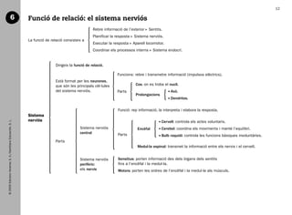 12

                                    6                           Funció de relació: el sistema nerviós
                                                                                                       Rebre informació de l’exterior    Sentits.
                                                                                                       Planificar la resposta   Sistema nerviós.
                                                                La funció de relació consisteix a
                                                                                                       Executar la resposta     Aparell locomotor.
                                                                                                       Coordinar els processos interns      Sistema endocrí.


                                                                                Dirigeix la funció de relació.

                                                                                                                     Funcions: rebre i transmetre informació (impulsos elèctrics).
                                                                                Està format per les neurones,
                                                                                que són les principals cèl·lules                 Cos: on es troba el nucli.
                                                                                del sistema nerviós.                 Parts                             xó.
                                                                                                                                                      A
                                                                                                                                 Prolongacions
                                                                                                                                                       endrites.
                                                                                                                                                      D

                                                                                                                      Funció: rep informació, la interpreta i elabora la resposta.
                                                                Sistema
                                                                nerviós
   © 2009 Edicions Voramar, S. A./Santillana Educación, S. L.




                                                                                                                                                  ervell: controla els actes voluntaris.
                                                                                                                                                 C
                                                                                               Sistema nerviós                    Encèfal         erebel: coordina els moviments i manté l’equilibri.
                                                                                                                                                 C
                                                                                               central                Parts                       ulb raquidi: controla les funcions bàsiques involuntàries.
                                                                                                                                                 B
                                                                                Parts
                                                                                                                                  Medul·la espinal: transmet la informació entre els nervis i el cervell.


                                                                                               Sistema nerviós        Sensitius: porten informació des dels òrgans dels sentits
                                                                                               perifèric:             fins a l’encèfal i la medul·la.
                                                                                               els nervis             Motors: porten les ordres de l’encèfal i la medul·la als músculs.




166113 _ 0001-0064.indd 12                                                                                                                                                                                      17/2/09 12:35:02
 