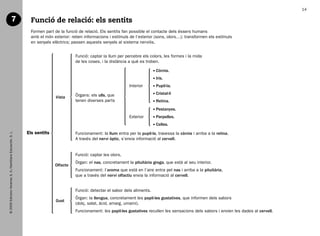 14

                                    7                            Funció de relació: els sentits
                                                                 Formen part de la funció de relació. Els sentits fan possible el contacte dels éssers humans
                                                                 amb el món exterior: reben informacions i estímuls de l’exterior (sons, olors…); transformen els estímuls
                                                                 en senyals elèctrics; passen aquests senyals al sistema nerviós.


                                                                                        Funció: captar la llum per percebre els colors, les formes i la mida
                                                                                        de les coses, i la distància a què es troben.

                                                                                                                                     òrnia.
                                                                                                                                    C
                                                                                                                                    ris.
                                                                                                                                    I
                                                                                                                     Interior        upil·la.
                                                                                                                                    P

                                                                                        Òrgans: els ulls, que                        ristal·lí
                                                                                                                                    C
                                                                              Vista
                                                                                        tenen diverses parts                         etina.
                                                                                                                                    R
                                                                                                                                     estanyes.
                                                                                                                                    P
                                                                                                                     Exterior        arpelles.
                                                                                                                                    P
                                                                                                                                     elles.
                                                                                                                                    C
                                                                Els sentits             Funcionament: la llum entra per la pupil·la, travessa la còrnia i arriba a la retina.
   © 2009 Edicions Voramar, S. A./Santillana Educación, S. L.




                                                                                        A través del nervi òptic, s’envia informació al cervell.


                                                                                        Funció: captar les olors.
                                                                                        Òrgan: el nas, concretament la pituïtària groga, que està al seu interior.
                                                                              Olfacte
                                                                                        Funcionament: l’aroma que està en l’aire entra pel nas i arriba a la pituïtària,
                                                                                        que a través del nervi olfactiu envia la informació al cervell.


                                                                                        Funció: detectar el sabor dels aliments.
                                                                                        Òrgan: la llengua, concretament les papil·les gustatives, que informen dels sabors
                                                                              Gust
                                                                                        (dolç, salat, àcid, amarg, umami).
                                                                                        Funcionament: les papil·les gustatives recullen les sensacions dels sabors i envien les dades al cervell.




166113 _ 0001-0064.indd 14                                                                                                                                                                          17/2/09 12:35:03
 