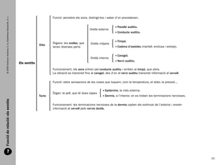 © 2009 Edicions Voramar, S. A./Santillana Educación, S. L.


                                                                                          Funció: percebre els sons, distingir-los i saber d’on procedeixen.


                                                                                                                                             avelló auditiu.
                                                                                                                                            P
                                                                                                                      Orella externa
                                                                                                                                             onducte auditiu.
                                                                                                                                            C

                                                                                                                                             impà.
                                                                                                                                            T
                                                                                          Òrgans: les orelles, que     Orella mitjana
                                                                                  Oïda
                                                                                          tenen diverses parts                               adena d’ossicles (martell, enclusa i estrep).
                                                                                                                                            C

                                                                                                                                             aragol.
                                                                                                                                            C
                                                                                                                       Orella interna
                                                                                                                                             ervi auditiu.
                                                                                                                                            N
                                                                    Els sentits
                                                                                          Funcionament: els sons entren pel conducte auditiu i arriben al timpà, que vibra.
                                                                                          La vibració es transmet fins al caragol, des d’on el nervi auditiu transmet informació al cervell.

                                                                                          Funció: rebre sensacions de les coses que toquem, com la temperatura, el dolor, la pressió...

                                                                                                                                   pidermis, la més externa.
                                                                                                                                  E
                                                                                          Òrgan: la pell, que té dues capes
                                                                                  Tacte                                            ermis, a l’interior, on es troben les terminacions nervioses.
                                                                                                                                  D
  Funció de relació: els sentits




                                                                                          Funcionament: les terminacions nervioses de la dermis capten els estímuls de l’exterior i envien
                                                                                          informació al cervell pels nervis tàctils.




             7
                                                                                                                                                                                                      15


166113 _ 0001-0064.indd 15                                                                                                                                                                          17/2/09 12:35:03
 
