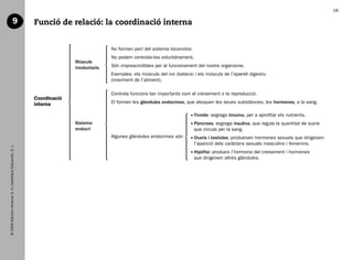 18

                                    9                           Funció de relació: la coordinació interna


                                                                                             No formen part del sistema locomotor.
                                                                                             No podem controlar-los voluntàriament.
                                                                              Músculs
                                                                              involuntaris   Són imprescindibles per al funcionament del nostre organisme.
                                                                                             Exemples: els músculs del cor (batecs) i els músculs de l’aparell digestiu
                                                                                             (moviment de l’aliment).

                                                                                             Controla funcions tan importants com el creixement o la reproducció.
                                                                Coordinació
                                                                interna                      El formen les glàndules endocrines, que aboquen les seues substàncies, les hormones, a la sang.

                                                                                                                                       iroide: segrega tiroxina, per a aprofitar els nutrients.
                                                                                                                                      T
                                                                              Sistema                                                  àncrees: segrega insulina, que regula la quantitat de sucre
                                                                                                                                      P
                                                                              endocrí                                                 que circula per la sang.
                                                                                             Algunes glàndules endocrines són          varis i testicles: produeixen hormones sexuals que dirigeixen
                                                                                                                                      O
                                                                                                                                      l’aparició dels caràcters sexuals masculins i femenins.
   © 2009 Edicions Voramar, S. A./Santillana Educación, S. L.




                                                                                                                                       ipòfisi: produeix l’hormona del creixement i hormones
                                                                                                                                      H
                                                                                                                                      que dirigeixen altres glàndules.




166113 _ 0001-0064.indd 18                                                                                                                                                                              17/2/09 12:35:05
 