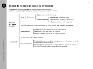 24

   12                                                           Funció de nutrició: la circulació i l’excreció
                                                                La circulació és el trasllat de la sang per l’aparell circulatori per a transportar
                                                                substàncies nutritives, oxigen i substàncies residuals. La porta a cap l’aparell circulatori.


                                                                                                                     El plasma: part líquida de la sang.
                                                                                       Sang       Components                                     lòbuls rojos: transporten oxigen.
                                                                                                                                                G
                                                                                                                     Cèl·lules sanguínies        lòbuls blancs: ens defenen d’infeccions.
                                                                                                                                                G
                                                                                                                                                 laquetes: s’ocupen de la coagulació.
                                                                                                                                                P
                                                                Elements
                                                                de l’aparell
                                                                circulatori            Cor: òrgan que bomba la sang contínuament. Té quatre cavitats: dues aurícules i dos ventricles.

                                                                                                                 Artèries: duen la sang des del cor fins als òrgans del cos.
                                                                                       Vasos sanguinis           Venes: duen la sang dels òrgans del cos al cor.
                                                                                                                 Capil·lars sanguinis: comuniquen les artèries i les venes.

                                                                                       La sang mai no ix de l’aparell circulatori.
   © 2009 Edicions Voramar, S. A./Santillana Educación, S. L.




                                                                                                                 Circulació pulmonar: recorregut de la sang entre el cor i els pulmons per recollir
                                                                La circulació                                    oxigen i alliberar diòxid de carboni.
                                                                                      Du a cap dos circuits
                                                                                                                 Circulació general: recorregut de la sang per tot el cos, excepte els pulmons,
                                                                                                                 per repartir nutrients i oxigen, i recollir productes residuals.




166113 _ 0001-0064.indd 24                                                                                                                                                                            17/2/09 12:35:09
 