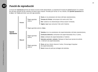 26

   13                                                           Funció de reproducció
                                                                La funció de reproducció permet als éssers humans tindre descendents. La reproducció humana és sexual perquè s’hi uneixen
                                                                les cèl·lules sexuals de dos individus de distint sexe (mascle i femella) per formar un nou individu. Els aparells reproductors de
                                                                la dona i de l’home permeten que això siga possible.


                                                                                                                       Ovaris: on es produeixen els òvuls (cèl·lules reproductores).
                                                                                                Òrgans genitals        Trompes de Fal·lopi: comuniquen els ovaris amb l’úter.
                                                                                                interns                Úter: cavitat on es desenvolupa el fetus durant l’embaràs.
                                                                                  Femení
                                                                                                                       Vagina: òrgan que comunica l’úter amb l’exterior.


                                                                                                Òrgans genitals externs: Vulva.

                                                                Aparell                                                Testicles: és on es produeixen els espermatozoides (cèl·lules reproductores).
                                                                reproductor
                                                                                                                       Conductes deferents: condueixen els espermatozoides fins a l’uretra.
                                                                                                Òrgans genitals
                                                                                                interns                Uretra: condueix els espermatozoides a l’exterior.
                                                                                                                       Vesícules seminals i pròstata: fabriquen el líquid que serveix de vehicle
                                                                                  Masculí
   © 2009 Edicions Voramar, S. A./Santillana Educación, S. L.




                                                                                                                       i d’aliment als espermatozoides.

                                                                                                                       Penis: pel seu interior discorre l’uretra. S’encarrega d’expulsar
                                                                                                Òrgans genitals        els espermatozoides.
                                                                                                externs
                                                                                                                       Escrot: bossa de pell que protegeix els testicles.




166113 _ 0001-0064.indd 26                                                                                                                                                                             17/2/09 12:35:10
 
