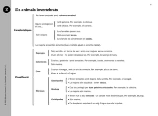 4

                                    2                            Els animals invertebrats
                                                                                   No tenen esquelet amb columna vertebral.


                                                                                                          Amb petxina. Per exemple, la cloïssa.
                                                                                   Alguns protegeixen
                                                                                   el cos...              Amb closca. Per exemple, el carranc.

                                                                Característiques                          Les femelles ponen ous.
                                                                                   Són ovípars            Dels ous ixen larves.
                                                                                                          Les larves es converteixen en adults.

                                                                                   La majoria presenten simetria (dues meitats iguals o simetria radial).

                                                                                                   Són senzills, en forma de sac i amb cos irregular sense simetria.
                                                                                   Esponges
                                                                                                   Viuen al mar i no poden desplaçar-se. Per exemple, l’esponja de bany.

                                                                                                   Cos tou, gelatinós i amb tentacles. Per exemple, corals, anemones o estreles.
                                                                                   Celenterats
                                                                                                   Són marins.
   © 2009 Edicions Voramar, S. A./Santillana Educación, S. L.




                                                                                                   Cos tou i allargat, amb un eix de simetria. Per exemple, el cuc de terra.
                                                                                   Cucs
                                                                                                   Viuen a la terra i a l’aigua.
                                                                 Classificació
                                                                                                                        T
                                                                                                                         enen tentacles amb òrgans dels sentits. Per exemple, el caragol.
                                                                                                    Gastròpodes
                                                                                                                        L
                                                                                                                         a majoria són aquàtics i tenen closca.

                                                                                                                        C
                                                                                                                         os tou protegit per dues petxines articulades. Per exemple, la clòtxina.
                                                                                                    Bivalves
                                                                                   Mol·luscs                            L
                                                                                                                         a majoria són marins.

                                                                                                                        T
                                                                                                                         enen huit o deu tentacles i un cervell molt desenvolupat. Per exemple, el polp.
                                                                                                    Cefalòpodes         S
                                                                                                                         ón marins.
                                                                                                                        E
                                                                                                                         s desplacen expulsant un raig d’aigua que els impulsa.




166113 _ 0001-0064.indd 4                                                                                                                                                                                   17/2/09 12:34:57
 