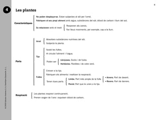 8

                                    4                            Les plantes
                                                                                     No poden desplaçar-se. Estan subjectes al sòl per l’arrel.
                                                                                     Fabriquen el seu propi aliment amb aigua, substàncies del sòl, diòxid de carboni i llum del sol.
                                                                Característiques
                                                                                                                      Responen als canvis.
                                                                                     Es relacionen amb el medi
                                                                                                                      Fan lleus moviments, per exemple, cap a la llum.



                                                                                               Absorbeix substàncies nutritives del sòl.
                                                                                     Arrel
                                                                                               Subjecta la planta.

                                                                                               Sosté les fulles.
                                                                                               Hi circula l’aliment i l’aigua.
                                                                                     Tija
                                                                                                               Llenyoses. Dures i de fusta.
                                                                 Parts                          Poden ser
                                                                                                               Herbàcies. Flexibles i de color verd.
   © 2009 Edicions Voramar, S. A./Santillana Educación, S. L.




                                                                                               Creixen a la tija.
                                                                                               Fabriquen els aliments i realitzen la respiració.
                                                                                     Fulles                                                                     nvers. Part de davant.
                                                                                                                                                               A
                                                                                                                        Limbe. Part més ampla de la fulla
                                                                                                Tenen dues parts                                                evers. Part de darrere.
                                                                                                                                                               R
                                                                                                                        Pecíol. Part que la uneix a la tija.



                                                                                   Les plantes respiren contínuament.
                                                                 Respiració
                                                                                   Prenen oxigen de l’aire i expulsen diòxid de carboni.




166113 _ 0001-0064.indd 8                                                                                                                                                                  17/2/09 12:34:59
 