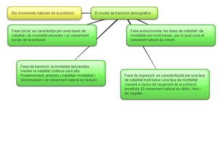 Esquemes socials tema_3
