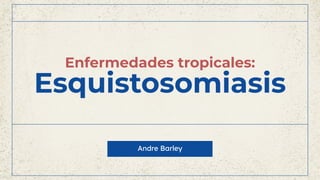 Enfermedades tropicales:
Esquistosomiasis
Andre Barley
 