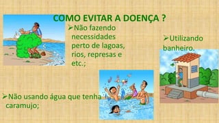 COMO EVITAR A DOENÇA ?
Não fazendo
necessidades
perto de lagoas,
rios, represas e
etc.;
Não usando água que tenha
caramujo;
Utilizando
banheiro.
 