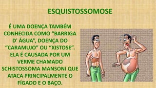 ESQUISTOSSOMOSE
É UMA DOENÇA TAMBÉM
CONHECIDA COMO “BARRIGA
D' ÁGUA”, DOENÇA DO
“CARAMUJO” OU “XISTOSE”.
ELA É CAUSADA POR UM
VERME CHAMADO
SCHISTOSSOMA MANSONI QUE
ATACA PRINCIPALMENTE O
FÍGADO E O BAÇO.
 