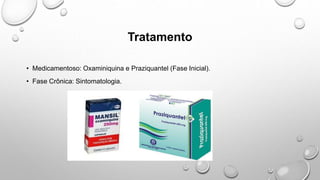 Tratamento
• Medicamentoso: Oxaminiquina e Praziquantel (Fase Inicial).
• Fase Crônica: Sintomatologia.
 