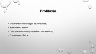 Profilaxia
• Tratamento e identificação de portadores;
• Saneamento Básico;
• Combate ao molusco (Hospedeiro Intermediário);
• Educação em Saúde;
 