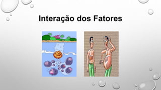 Interação dos Fatores
 