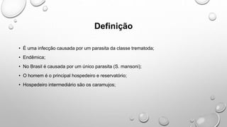 Definição
• É uma infecção causada por um parasita da classe trematoda;
• Endêmica;
• No Brasil é causada por um único parasita (S. mansoni);
• O homem é o principal hospedeiro e reservatório;
• Hospedeiro intermediário são os caramujos;
 