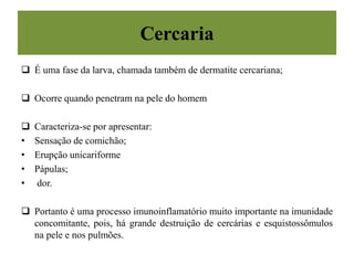 Cercaria
 É uma fase da larva, chamada também de dermatite cercariana;
 Ocorre quando penetram na pele do homem
 Caracteriza-se por apresentar:
• Sensação de comichão;
• Erupção unicariforme
• Pápulas;
• dor.
 Portanto é uma processo imunoinflamatório muito importante na imunidade
concomitante, pois, há grande destruição de cercárias e esquistossômulos
na pele e nos pulmões.
 
