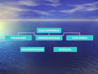 INDIFERENCIADA RESIDUAL ESQUIZOFRENIA PARANOIDE DESORGANIZADA CATATONCA 