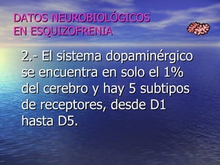 DATOS NEUROBIOLÓGICOS EN ESQUIZOFRENIA 2.- El sistema dopaminérgico se encuentra en solo el 1% del cerebro y hay 5 subtipos de receptores, desde D1 hasta D5.  