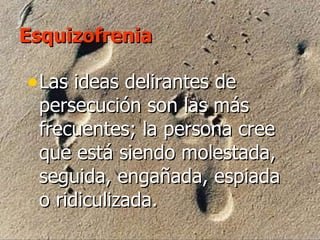 Esquizofrenia Las ideas delirantes de persecución son las más frecuentes; la persona cree que está siendo molestada, seguida, engañada, espiada o ridiculizada.   