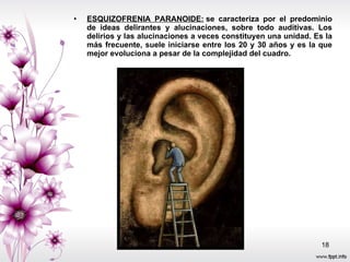 ESQUIZOFRENIA PARANOIDE:  se caracteriza por el predominio de ideas delirantes y alucinaciones, sobre todo auditivas. Los delirios y las alucinaciones a veces constituyen una unidad. Es la más frecuente, suele iniciarse entre los 20 y 30 años y es la que mejor evoluciona a pesar de la complejidad del cuadro. 