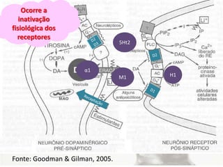 Fonte: Goodman & Gilman, 2005.
M1 H1
α1
5Ht2
Ocorre a
inativação
fisiológica dos
receptores
 