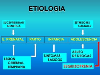 LESION
CEREBRAL
TEMPRANA
E. PRENATAL PARTO INFANCIA ADOLESCENCIA
SUCEPTIBILIDAD
GENETICA
ESTRESORES
SOCIALES
SINTOMAS
BASICOS
ABUSO
DE DROGAS
ESQUIZOFRENIA
 