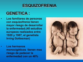 • Los familiares de personas
con esquizofrenia tienen
mayor riesgo de desarrollar
la enfermedad.(40 estudios
europeos realizados entre
1920 y 1987, el genetista
Irving Gottesman)
• Los hermanos
monocigóticos tienen mas
riesgo de padecer la
enfermedad con un 48%
 