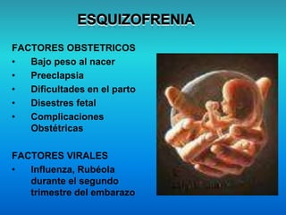 FACTORES OBSTETRICOS
• Bajo peso al nacer
• Preeclapsia
• Dificultades en el parto
• Disestres fetal
• Complicaciones
Obstétricas
FACTORES VIRALES
• Influenza, Rubéola
durante el segundo
trimestre del embarazo
 
