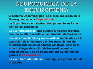 El Sistema Dopaminérgico es el mas implicado en la
Neuroquímica de la Esquizofrenia.
La Dopamina se encuentra principalmente en 7 vías,
siendo las principales:
• La vía nigroestriada, que cumple funciones motoras,
cuando se altera resulta en enfermedad de Parkinson.
• Las vías mesolímbica y mesocortical, implicadas en la
expresión de emociones y en los mecanismos de
reforzamiento de las conductas adictivas; éste es el
principal lugar de acción de los medicamentos
antipsicóticos, y se ha postulado que su disfunción
genera la Esquizofrenia.
• La vía tuberoinfundibular, que regula la producción de
prolactina.
 