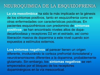 La vía mesolímbica ha sido la más implicada en la génesis
de los síntomas positivos, tanto en esquizofrenia como en
otras enfermedades con características psicóticas. En
pacientes esquizofrénicos con predominio de síntomas
positivos, se han encontrado niveles altos de dopa-
decarboxilasa y receptores D2 en el estriado, así como
liberación masiva de dopamina a este nivel cuando son
expuestos a estímulos externos.
Los síntomas negativos al parecer tienen un origen
diferente, involucrando la corteza prefrontal dorsolateral y
neurotransmisores diferentes a la dopamina, probablemente
glutamato. Sin embargo, los síntomas negativos se ven
empeorados por el bloqueo de los receptores
dopaminérgicos en la vía mesocortical.
 
