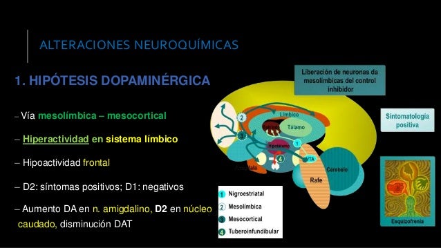 Esquizofrenia: presentación clínica y evolución