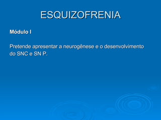 ESQUIZOFRENIA Módulo I Pretende apresentar a neurogênese e o desenvolvimento  do SNC e SN P. 