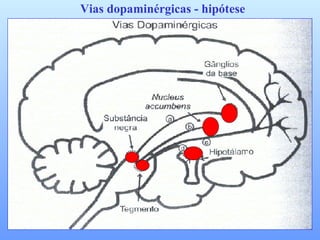 Vias dopaminérgicas - hipótese 