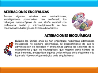 Aunque algunos estudios son contradictorios,
investigaciones post-mortem han confirmado los
hallazgos macroscópicos de una atrofia cerebral con
preferencia frontal y, microscópicamente se han
confirmado los hallazgos de diversos dimorfismos.
Durante los últimos años se han encontrado numerosas alteraciones
metabólicas no siempre confirmadas. El descubrimiento de que la
administración de levodopa y anfetaminas agrava los síntomas de la
esquizofrenia y que los neurolépticos, que mejoran cierto número de
esos síntomas, antagonizan algunos de los efectos de la dopamina y da
lugar a la hipótesis dopaminérgica de la esquizofrenia.
 