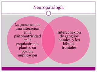 Neuropatología 