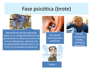 Fase psicótica (brote)
Alteraciones del pensamiento
tanto en su contenido (delirios de
persecución e influencia) como en
el curso (bloqueos, deterioro de
la capacidad de abstracción) o en
la forma (ensalada de palabras).
Percepción
(alucinaciones
auditivas)
Caract.
catatónicas
(rigidez,
catalepsia,
agitación).
Trema
 
