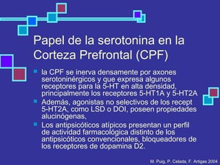 Papel de la serotonina en la
Corteza Prefrontal (CPF)
 la CPF se inerva densamente por axones
serotoninérgicos y que expresa algunos
receptores para la 5-HT en alta densidad,
principalmente los receptores 5-HT1A y 5-HT2A
 Además, agonistas no selectivos de los recept
5-HT2A, como LSD o DOI, poseen propiedades
alucinógenas,
 Los antipsicóticos atípicos presentan un perfil
de actividad farmacológica distinto de los
antipsicóticos convencionales, bloqueadores de
los receptores de dopamina D2.
M. Puig, P. Celada, F. Artigas 2004
 
