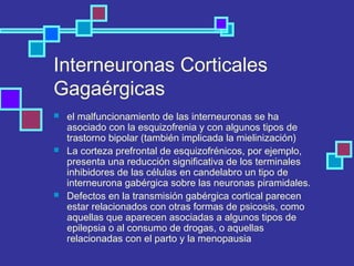 Interneuronas Corticales
Gagaérgicas
 el malfuncionamiento de las interneuronas se ha
asociado con la esquizofrenia y con algunos tipos de
trastorno bipolar (también implicada la mielinización)
 La corteza prefrontal de esquizofrénicos, por ejemplo,
presenta una reducción significativa de los terminales
inhibidores de las células en candelabro un tipo de
interneurona gabérgica sobre las neuronas piramidales.
 Defectos en la transmisión gabérgica cortical parecen
estar relacionados con otras formas de psicosis, como
aquellas que aparecen asociadas a algunos tipos de
epilepsia o al consumo de drogas, o aquellas
relacionadas con el parto y la menopausia
 