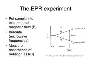 Epr Measurement Esr | PPT